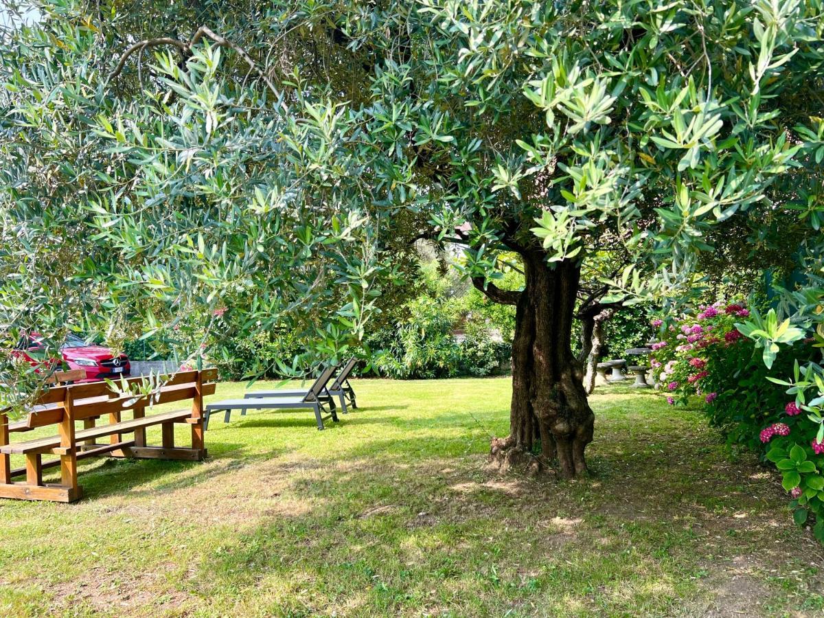Villa Verde Riva del Garda Ngoại thất bức ảnh