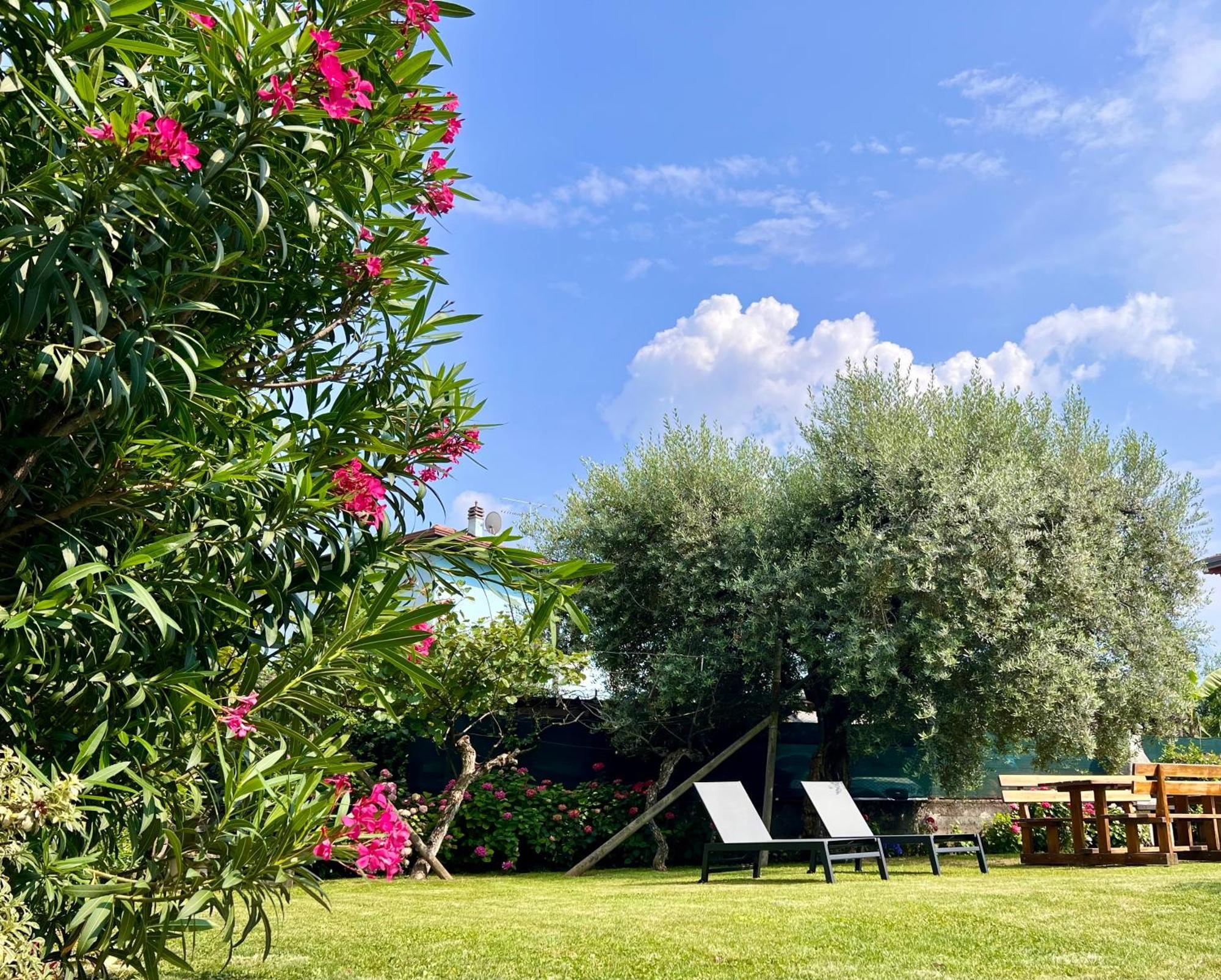 Villa Verde Riva del Garda Ngoại thất bức ảnh