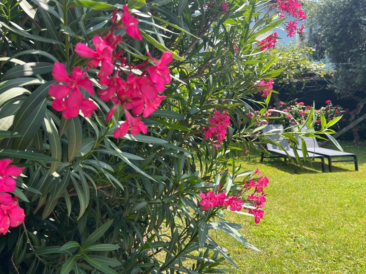 Villa Verde Riva del Garda Ngoại thất bức ảnh